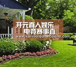 开元真人娱乐 - 电竞赛事直播平台
